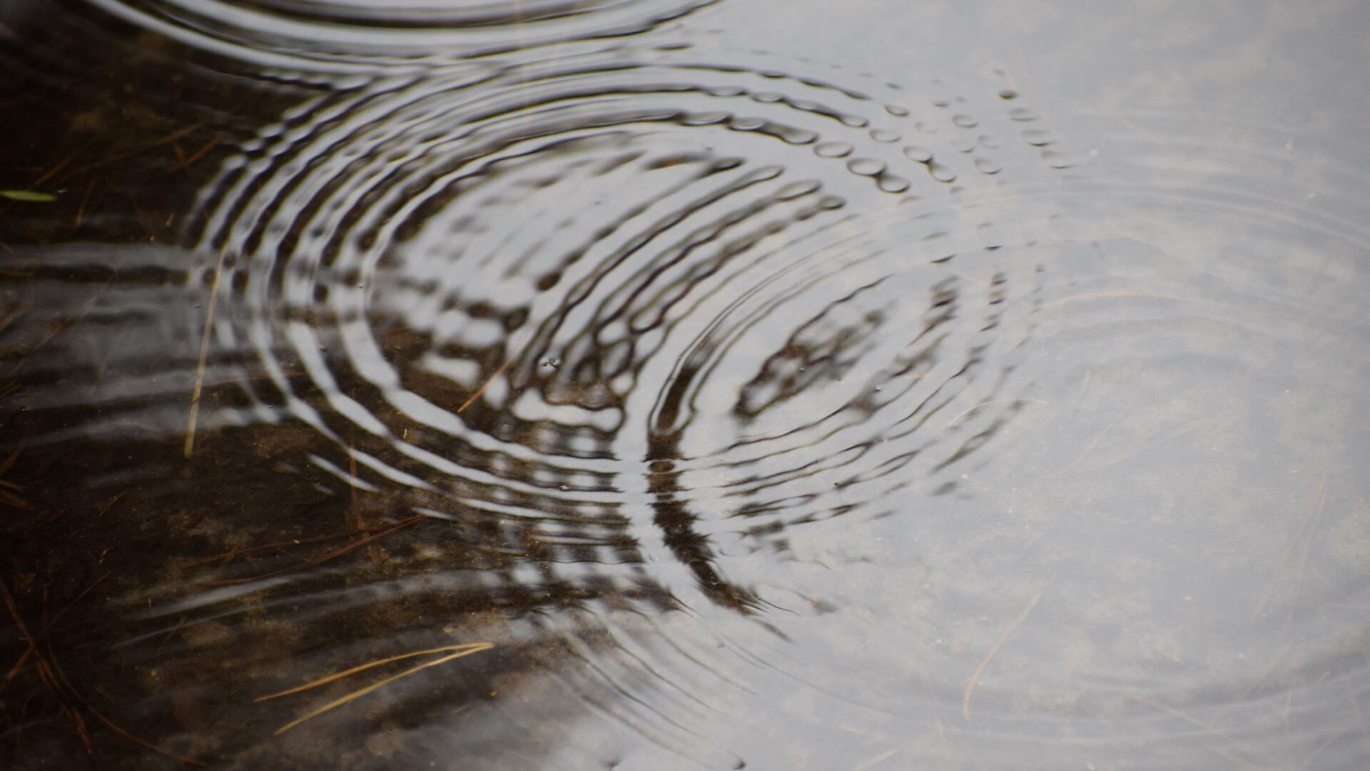 IEEE 802.11 Sets Early Architectural Boundaries for Wi-Fi 8 and IMMW