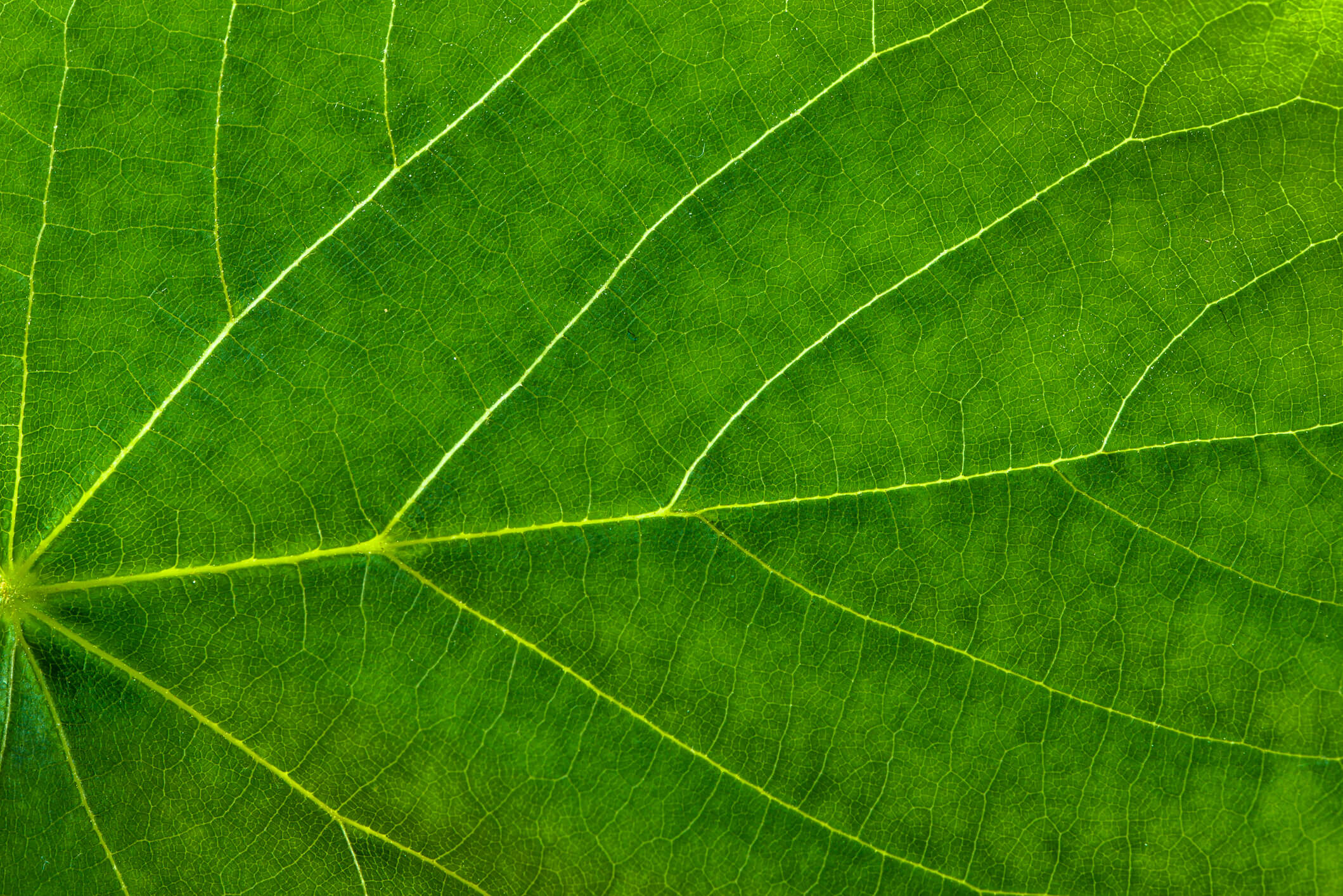 Wi-Fi’s AI Era Begins as the Industry Charts Its Next Generation | March 2026 IEEE 802.11 Standards Readout