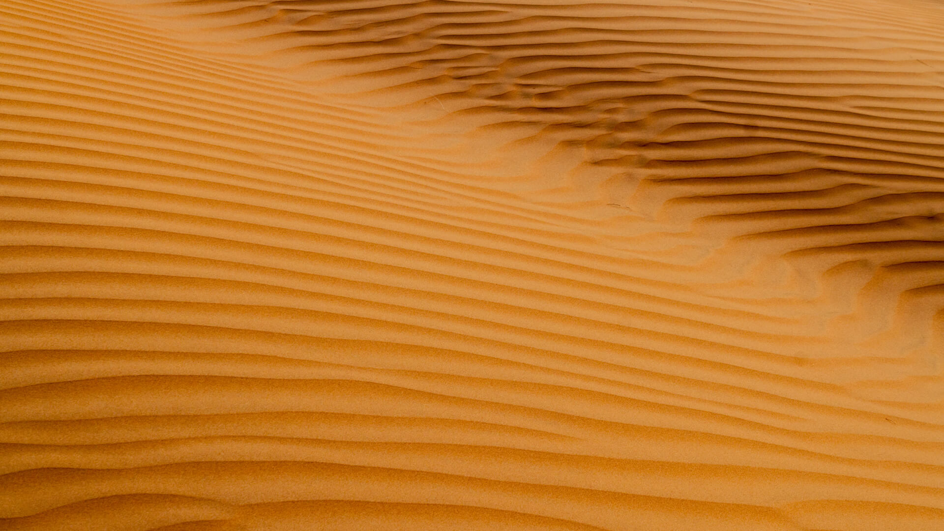 Gaussian Splat Coding Exploration Advances as Next-Gen Video Coding Timeline Takes Shape